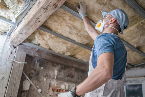 Best Attic Insulation Near Me  in Bellevue, PA