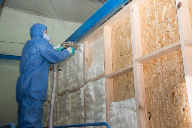 Best Insulation Contractor Near Me  in Bellevue, PA